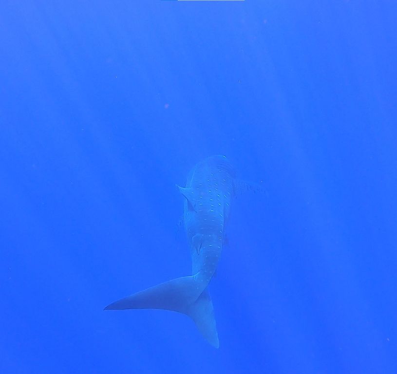 9e9d3202-3ddf-407d-83cb-e56e384daa1f