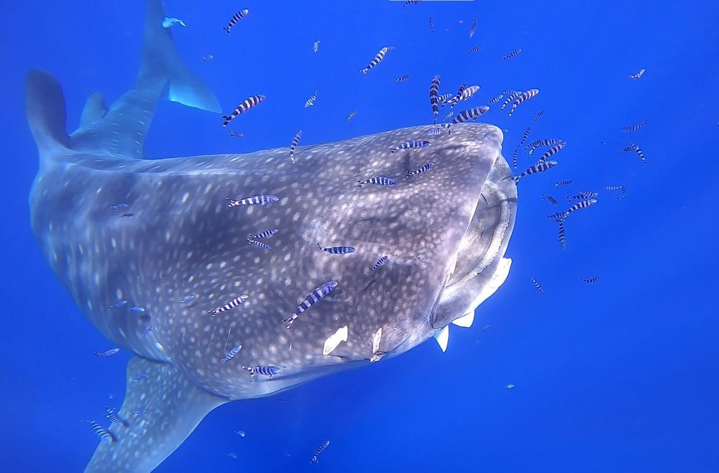 9e9d3202-3ddf-407d-83cb-e56e384daa1f