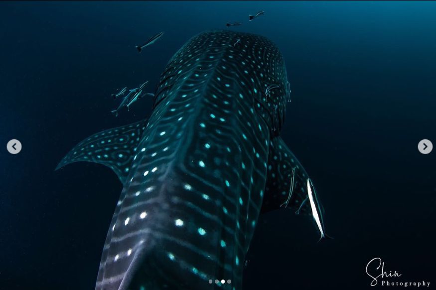 a7c7f7ee-418b-472b-ae97-68025504f7ee