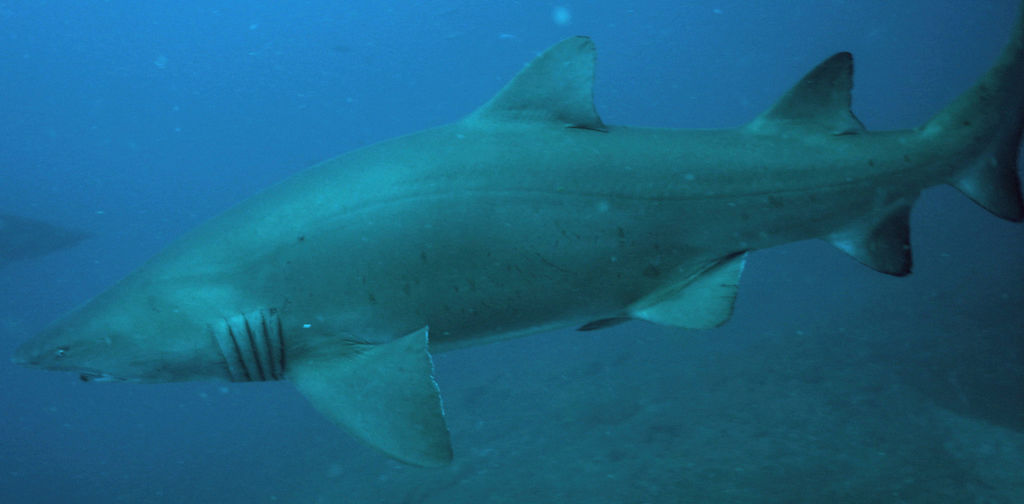 f973e1bf-73a8-4da3-ba95-e249b0ad7ff6