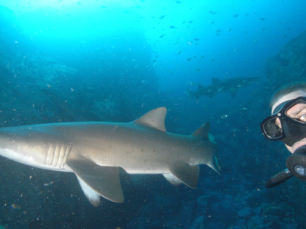 ab7b1a84-eb0d-4309-ae61-e492816235b2