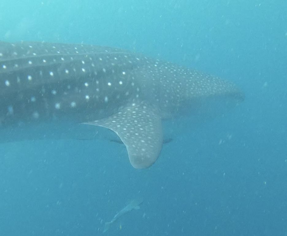 d74d8fbf-1b17-40c6-a5c2-193067413eec