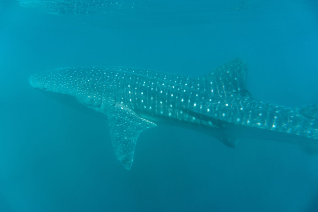 d74d8fbf-1b17-40c6-a5c2-193067413eec