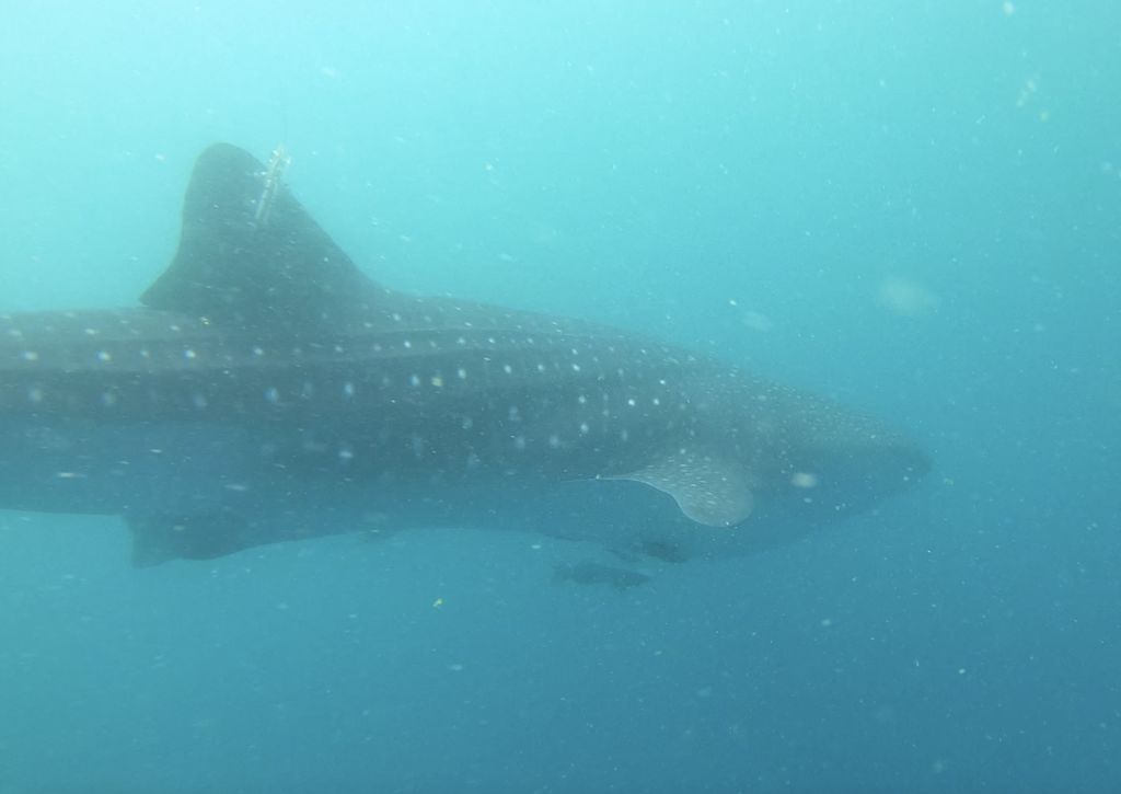 d74d8fbf-1b17-40c6-a5c2-193067413eec