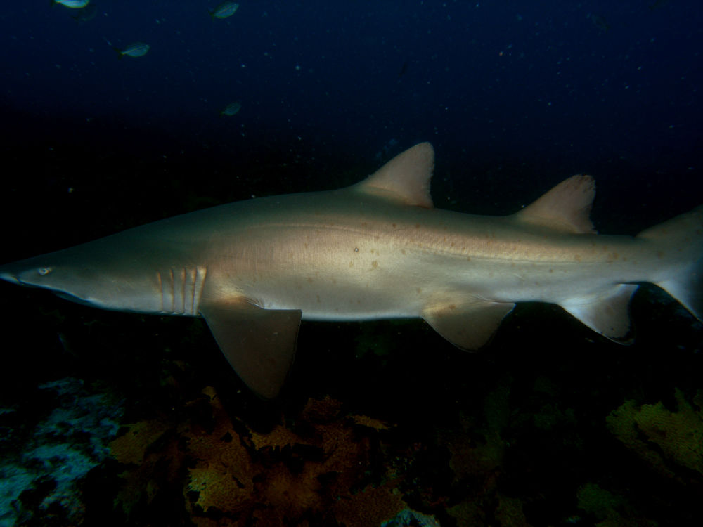 b29acaec-fea4-4cc5-965e-d187f67783fe