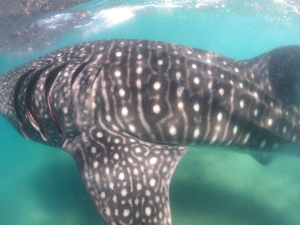 79cfad13-f19a-4cbc-8fb8-df097501d124