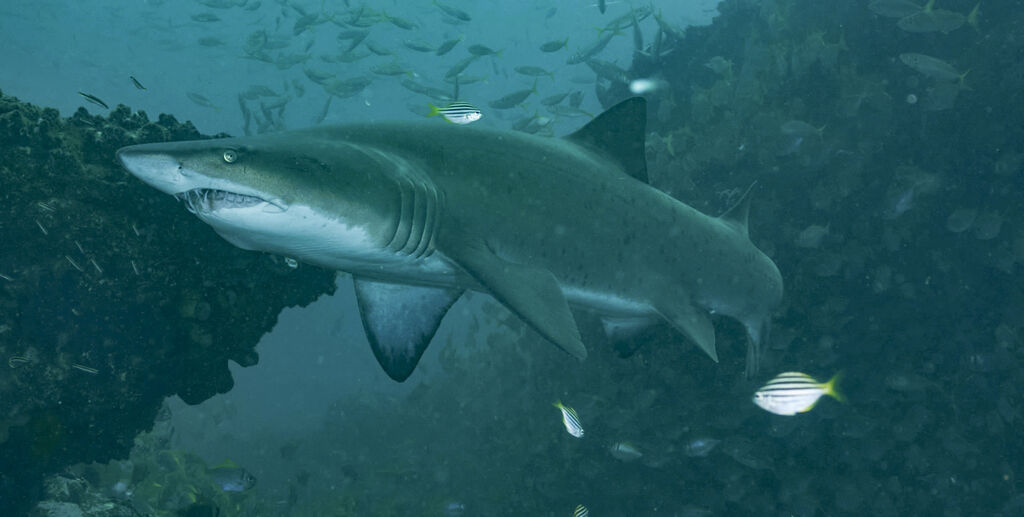 19e25995-7d5a-45bd-91ec-2e758b85c0cf