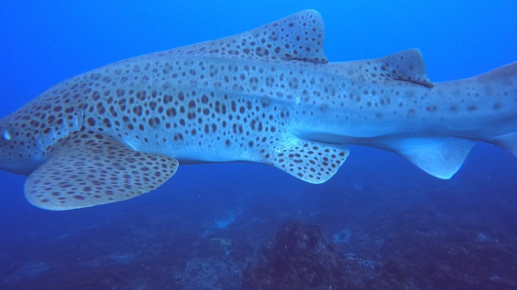 973c1ba7-9036-4f02-bc27-4b753aa290b0