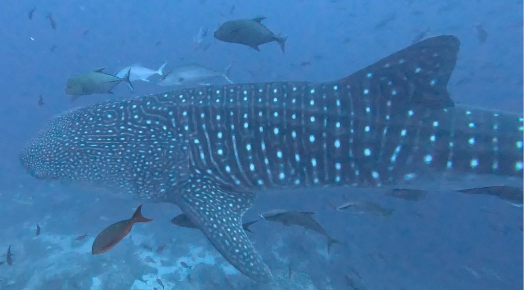 27147bab-a5be-4732-b3b7-94fdda5a3ead