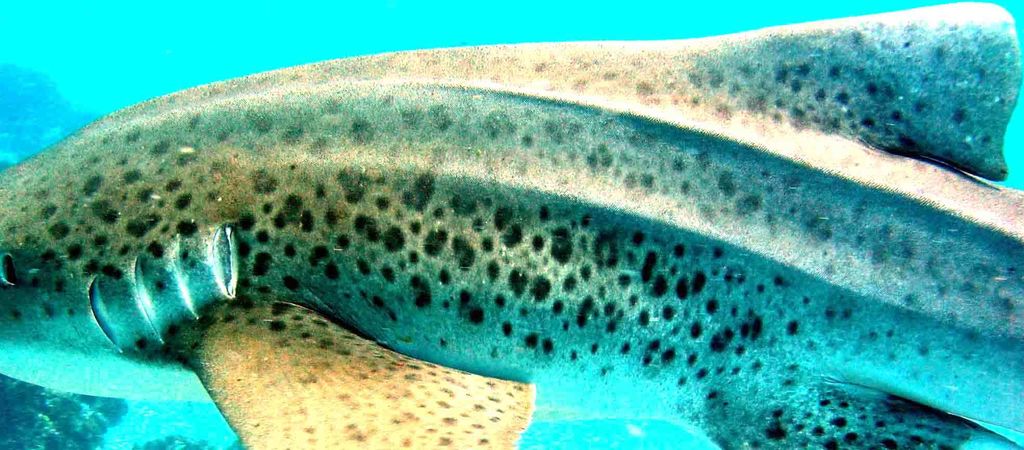 56c4fe06-631a-4d29-b028-fb08b71e5b02