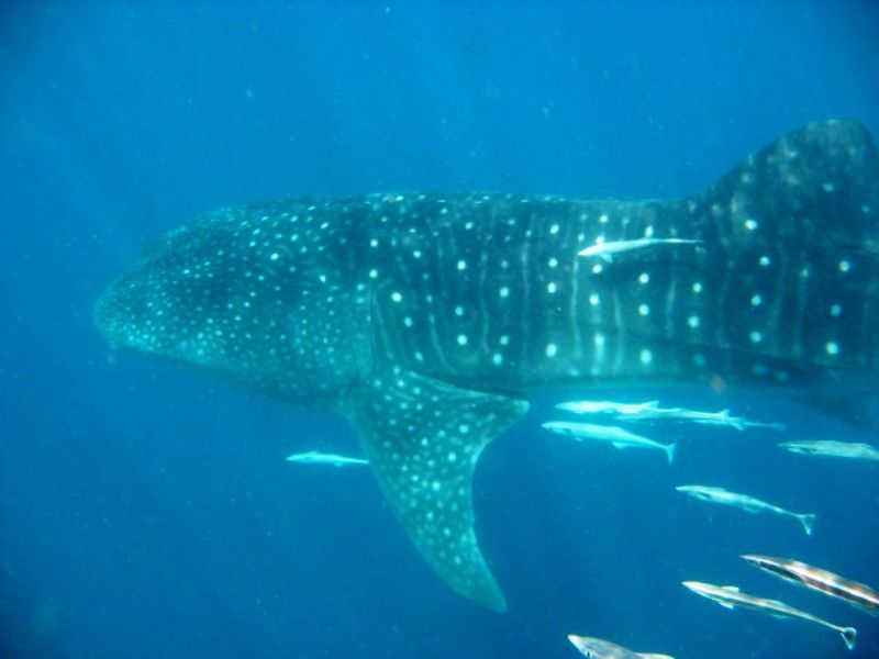 8986ba72-f31c-4a5a-9569-96a847a6168d