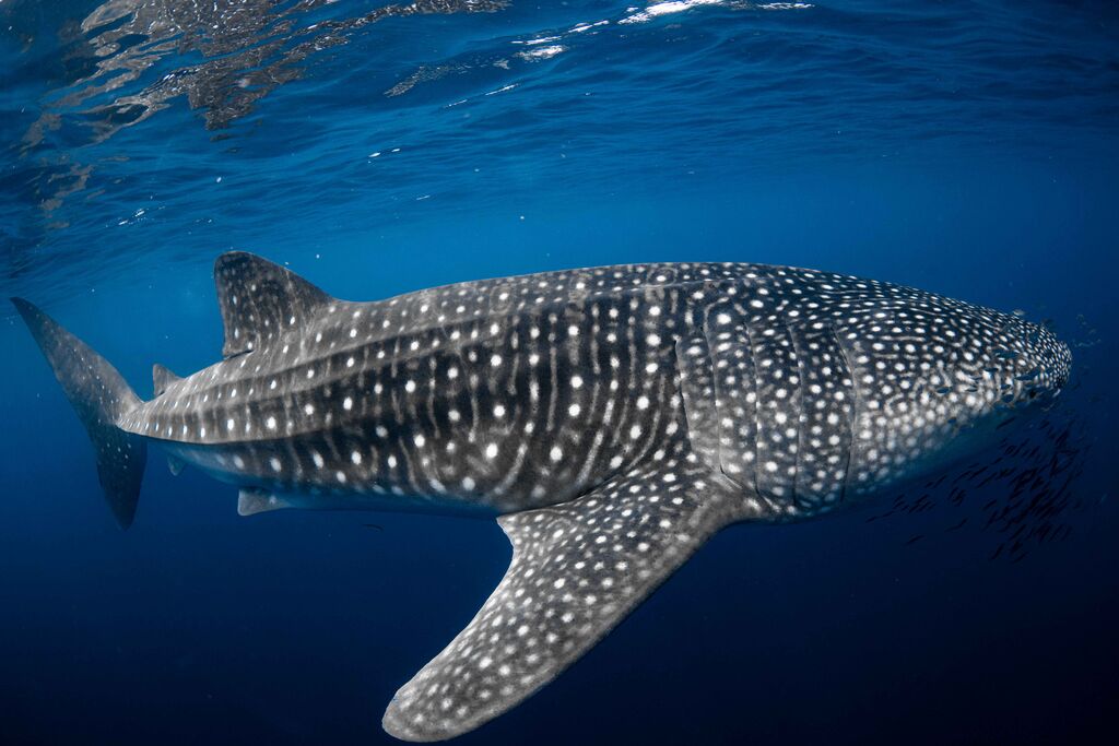 50e5b486-75c9-43e6-9a42-f316d763cfb1