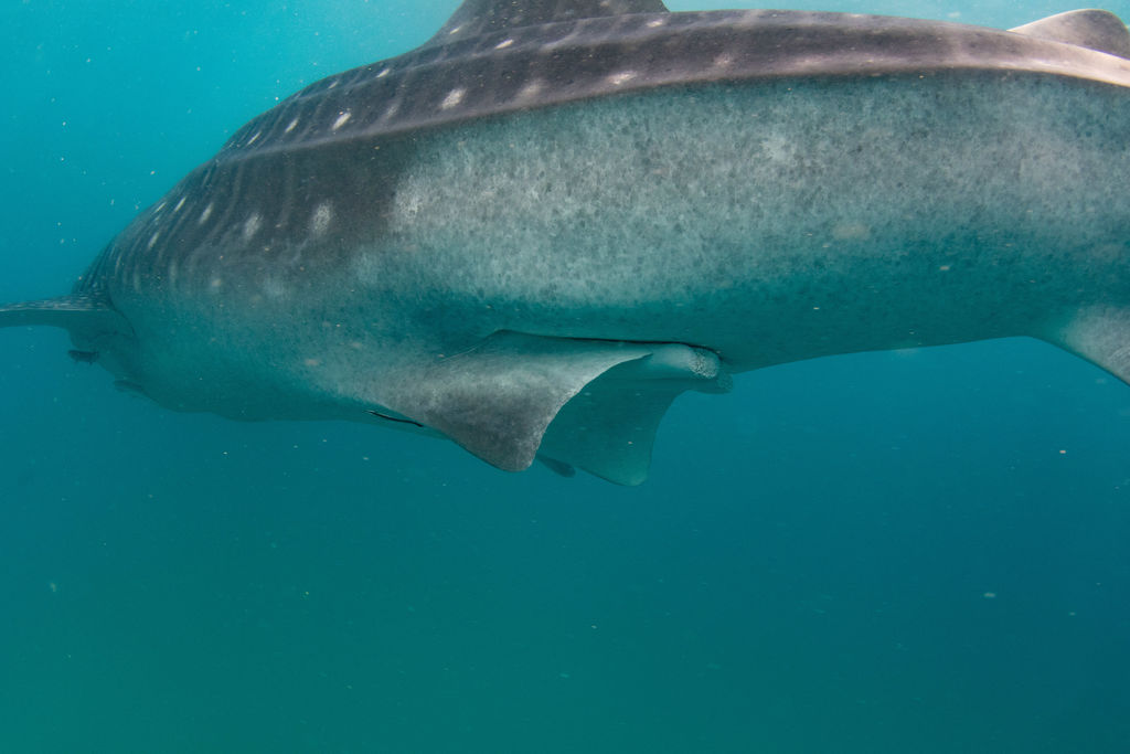 c49ef15b-ec0e-49a6-9cc3-5f451e0ac950