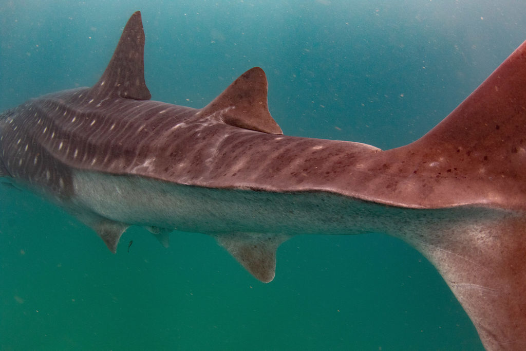 c49ef15b-ec0e-49a6-9cc3-5f451e0ac950