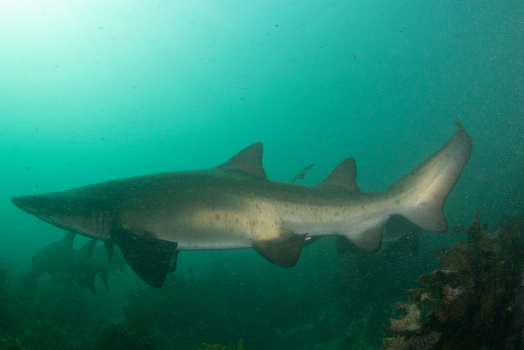 6c53ab6b-9199-4975-b4ee-8c375c2adc9e