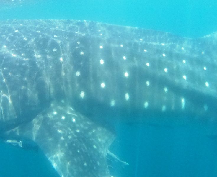 75a4bdf3-40c7-43b8-9aea-97c133556b8d