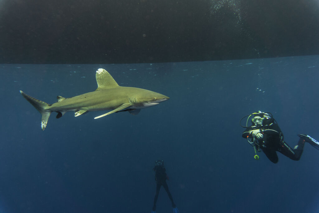 cef88367-be9c-4c2a-b6cb-f921af8877a5