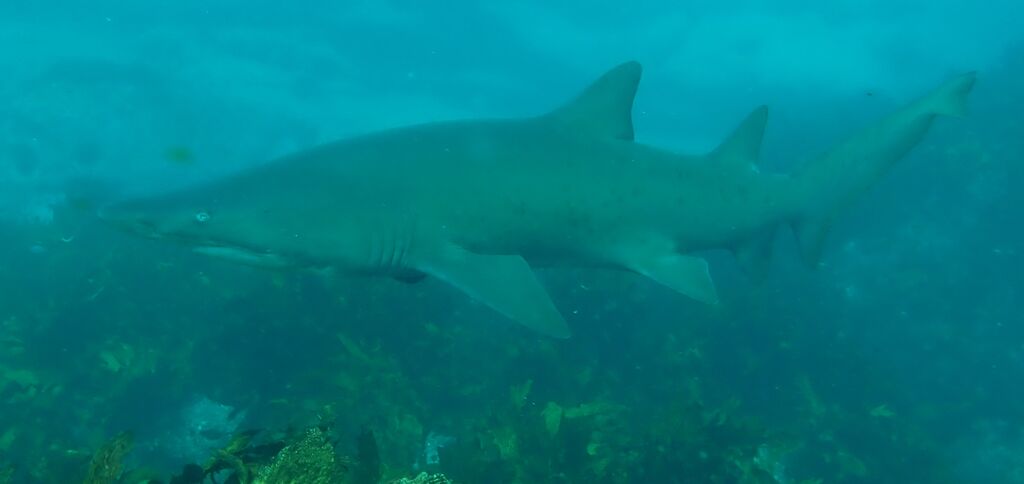 10309297-3987-4440-9515-556fbc377f13