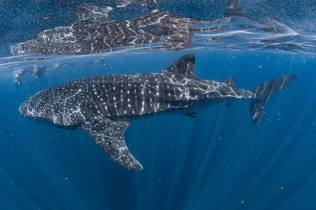 0e61075b-4489-4b72-8969-488478796f7a