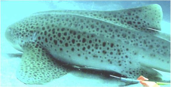 5de090cc-1838-4b81-bbff-d298d238ca4a