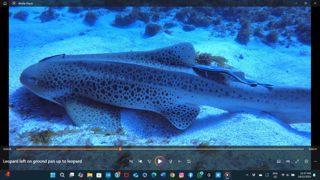 f721387a-6221-40e0-a448-70976ec5fd90