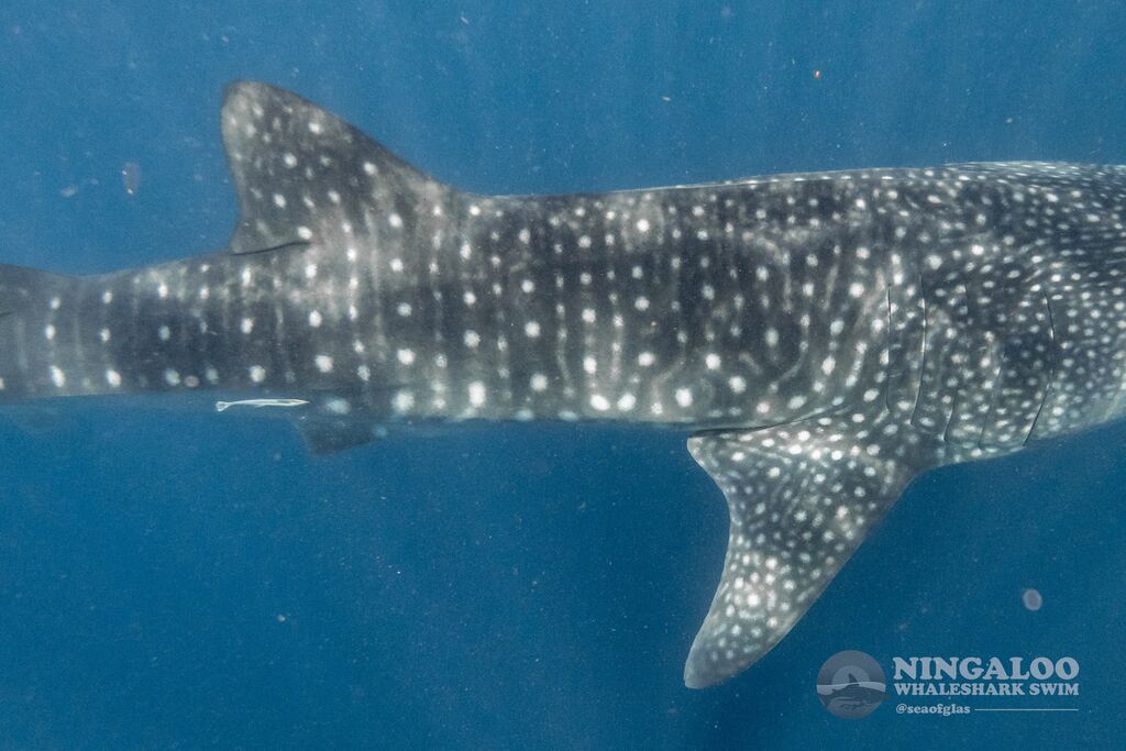 da9f06d6-88ba-4a77-9ec4-900ddb7727af