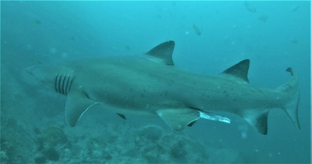 663cc9a2-7d8f-41f6-9d29-fae6622c0713