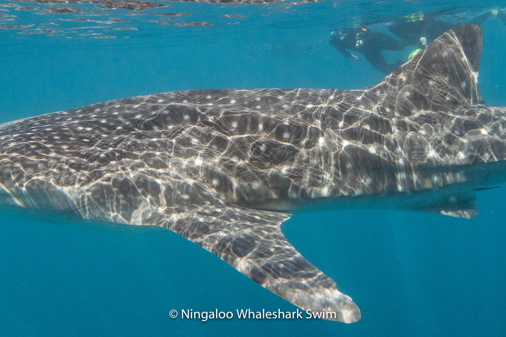 96cb8443-910f-4982-a39d-2e378941862b