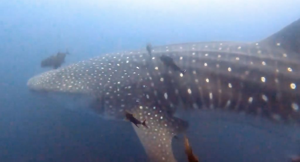 12beb078-9371-42b8-8eb5-19df70a5ddf6