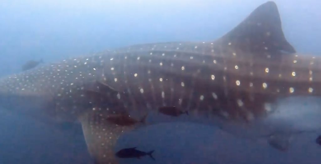 12beb078-9371-42b8-8eb5-19df70a5ddf6