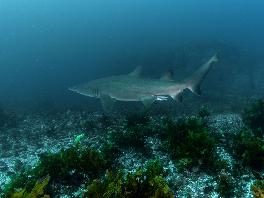 32220e94-0dbd-40c0-9882-c02478a80a5f