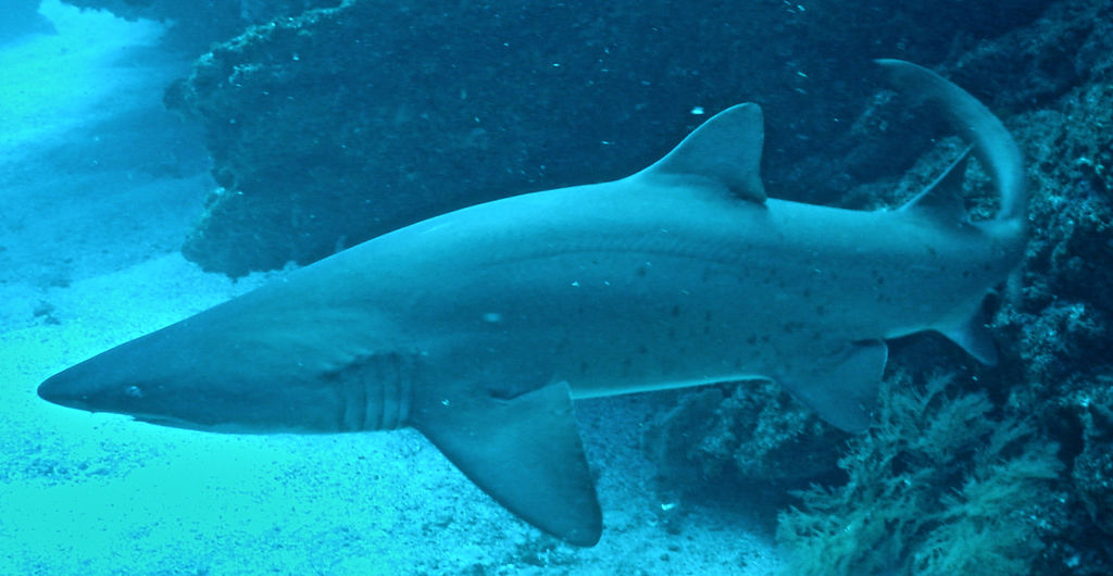 986ea6ba-72e0-4dc5-bda9-4567c5a47fba