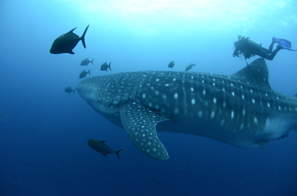 73edce50-8403-4c68-869e-6d94e1cc9fb3