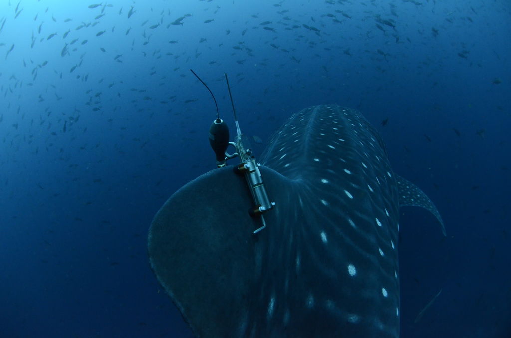 73edce50-8403-4c68-869e-6d94e1cc9fb3