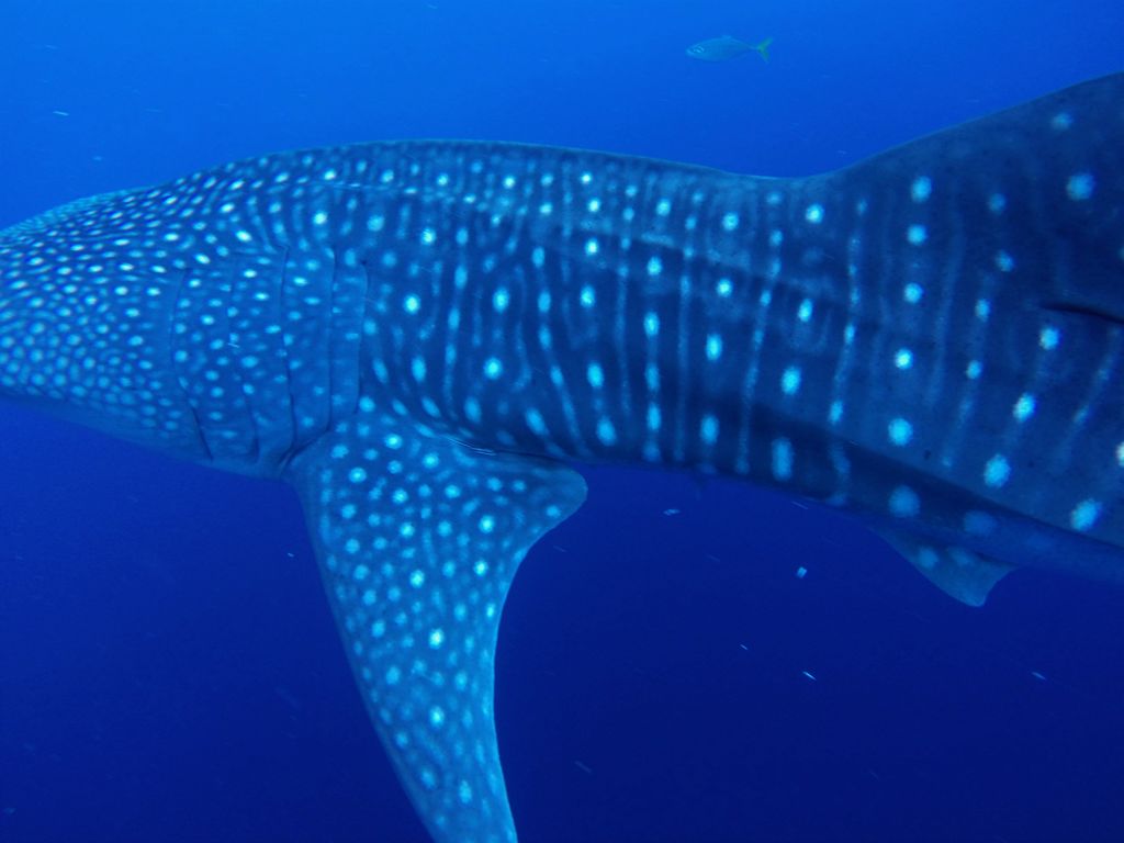 2a88e25c-b82b-4ba0-9314-23552082edb2