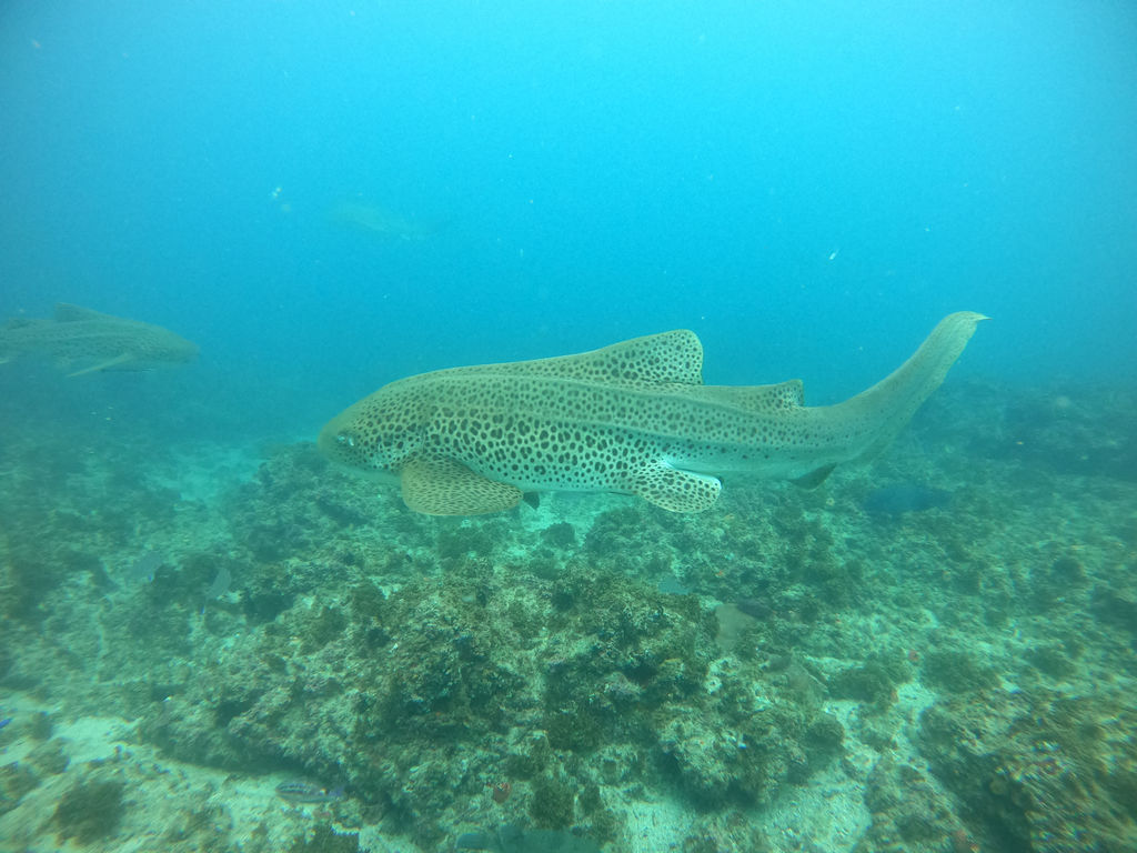 3844dabb-bcab-4cea-a690-0ea748d52171