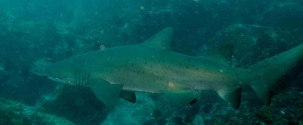 f1be4197-d24d-410b-b9e4-d1ec9d8eb330