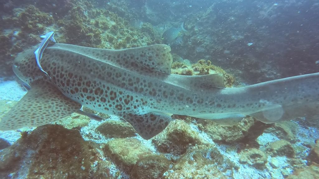 c6ba08bf-48b0-4e35-a98a-8880d7578e48