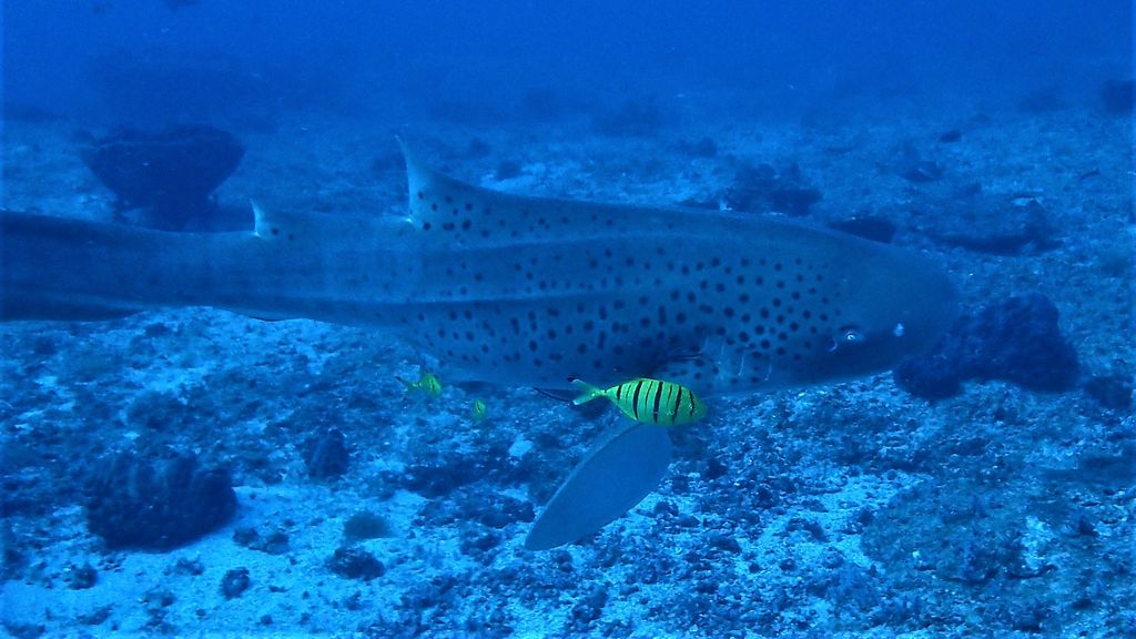 c02b565f-638b-4ac6-8eab-5b97029ce3dc