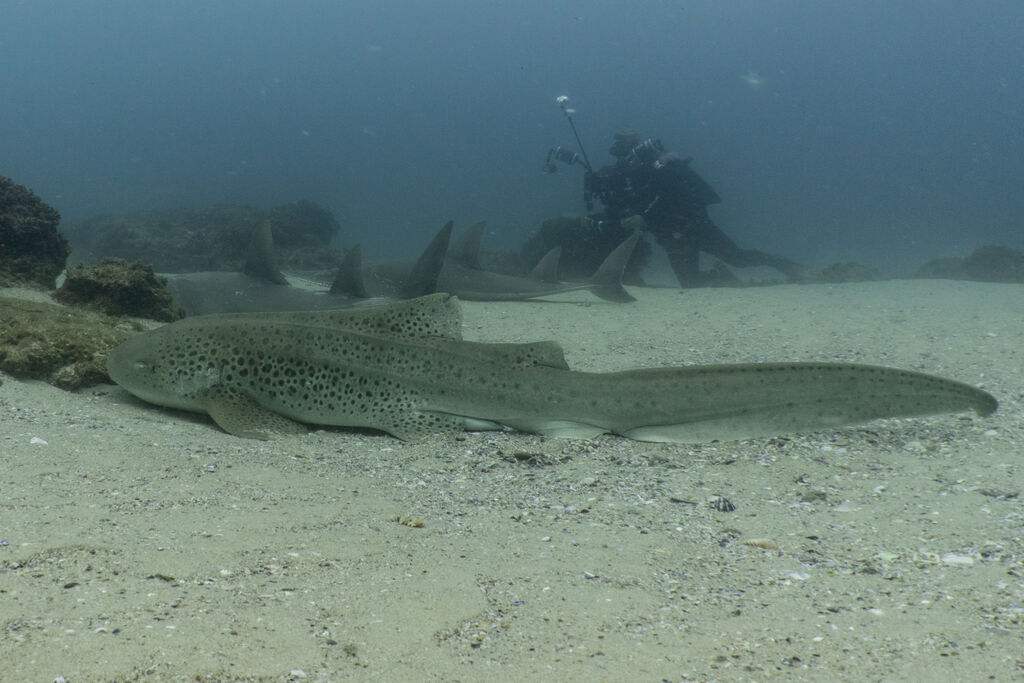 a91e79a9-082d-4a73-b5a5-e1ce7b174027