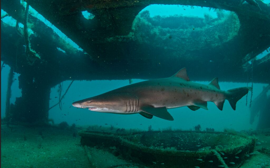 9f1bc54d-d870-49e4-90a0-f8c0a50fd29c