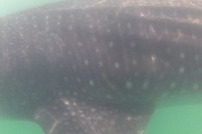 70d777c9-4ba2-485e-8e6c-590d3ea9fec9