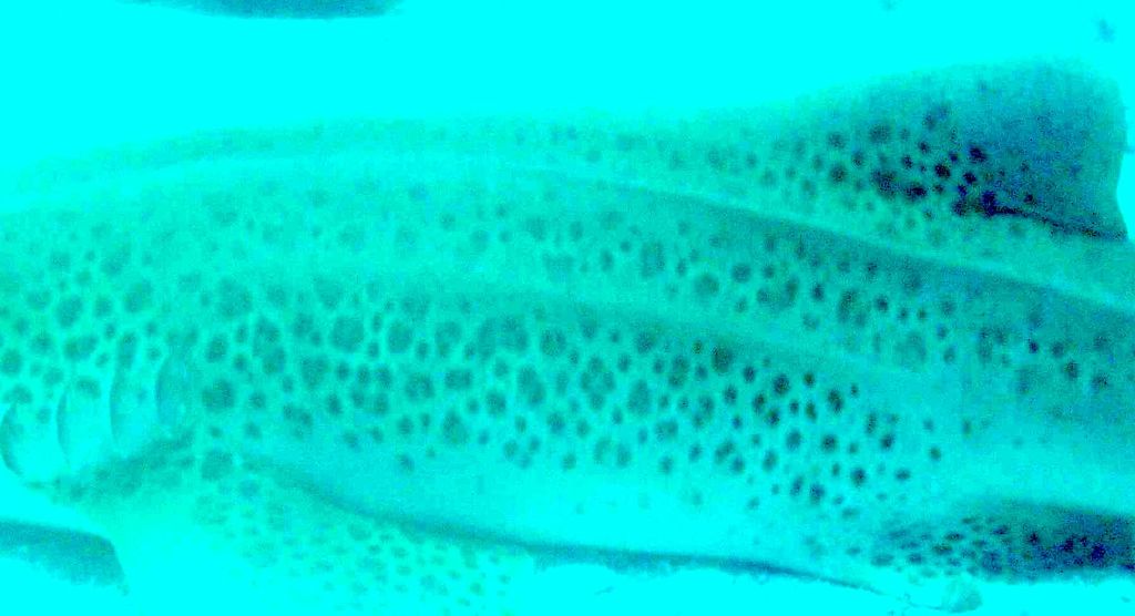 083a503c-b0c1-429c-b998-971f94a51609