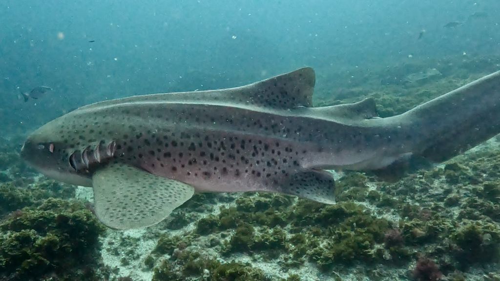 592cf5c3-5821-4892-b3c9-b88fc3649973