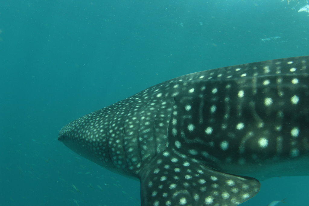 d14e096d-4be0-4a4f-a8d0-ee6015ba8f9f