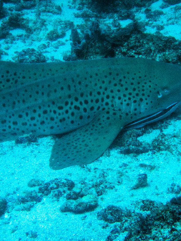 f3a1f118-72f7-42f9-b796-d76d08da9cc2