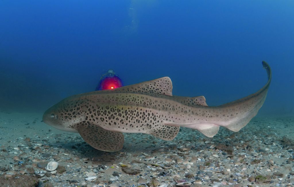 7207d33f-66de-4144-be05-85dfd8edede2