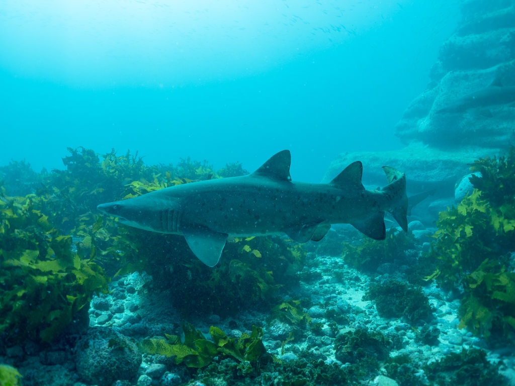 9105ff11-e6c5-426b-8553-a77039e0d4f1