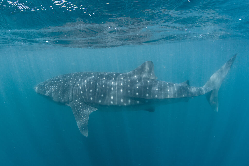 30269bde-eb0a-4c5f-8ccc-f1e880d1cf40