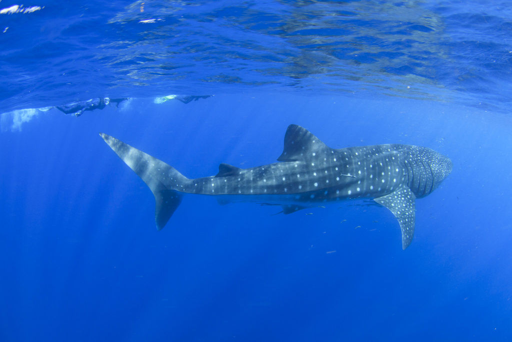 406374cd-f80f-4609-864e-9357d71e8dd6